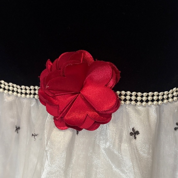 Jona Michelle Black Velvet and White Lace Dress with Red Flower - Picture 3 of 6